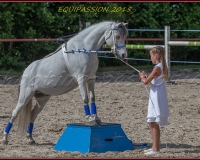 1-13JUIN 0935